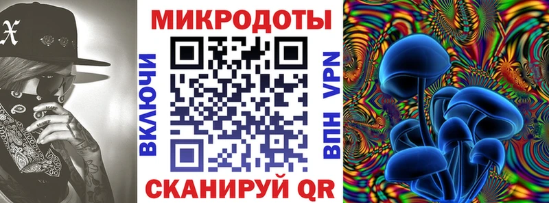 Псилоцибиновые грибы Psilocybe  Купить где  Тотьма 
